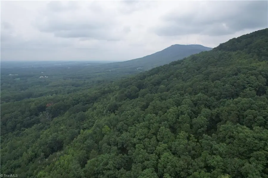 0 Pine Tree Drive, Pinnacle, NC 27043 - #2