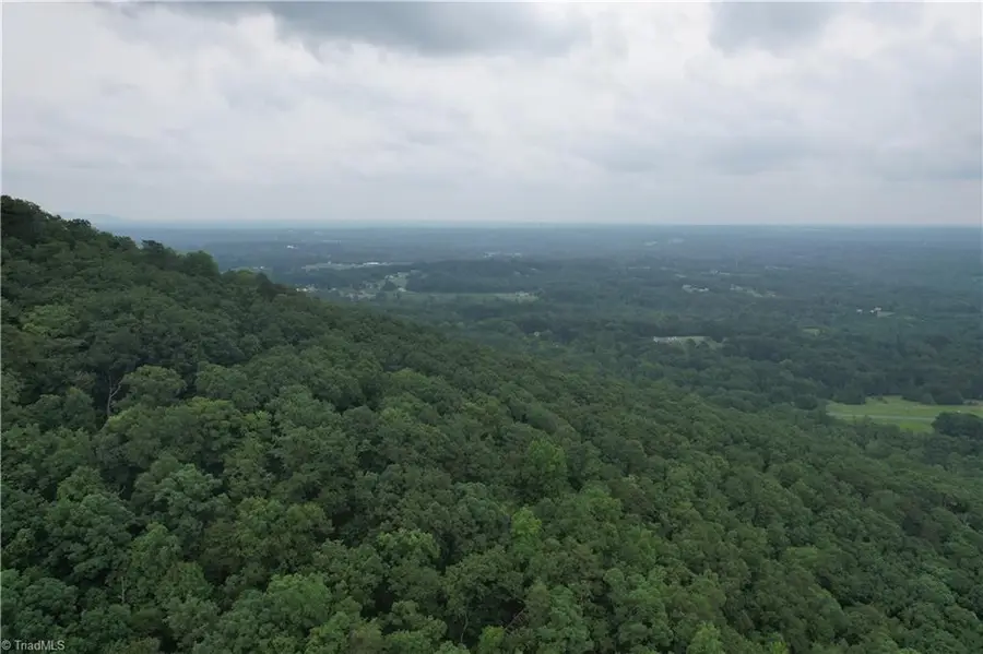 0 Pine Tree Drive, Pinnacle, NC 27043 - #3