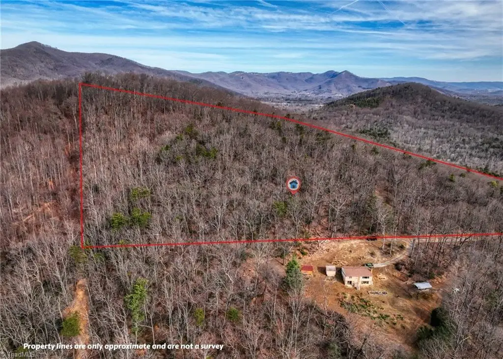 TBD Ivy Green Trail, Lowgap, NC 27024 - #1