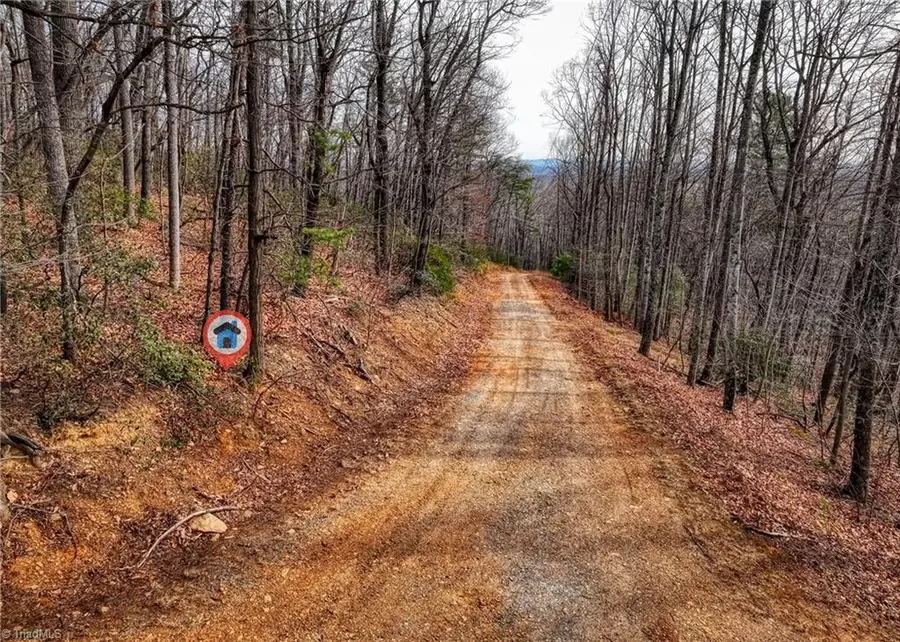 TBD Ivy Green Trail, Lowgap, NC 27024 - #3