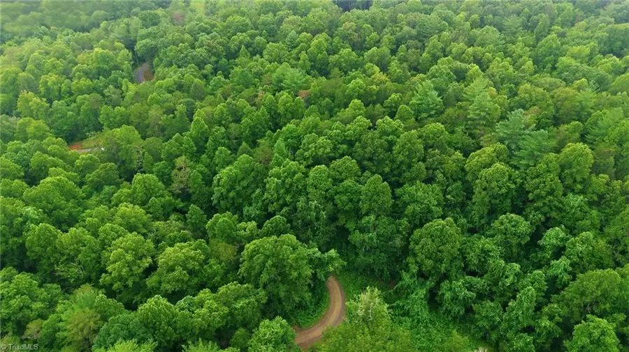 000 Brewer Mill Road Extension, Traphill, NC 28685 - #2
