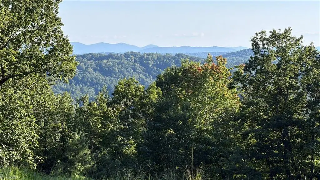 000 Carriage House Trail #Lot 157, McGrady, NC 28649 - #1