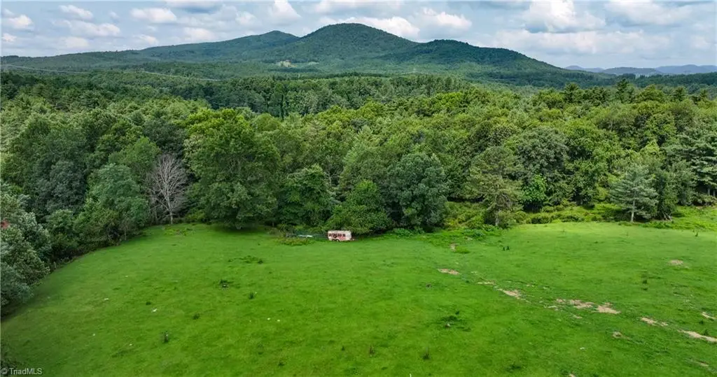 TBD Caudill Road, Glade Valley, NC 28627 - #1