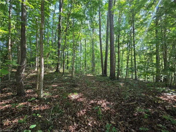 Lot 1 Pin Tail Drive, Reidsville, NC 27320