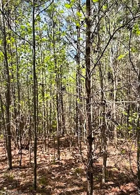 0 Tate Road, Reidsville, NC 27320 - #2