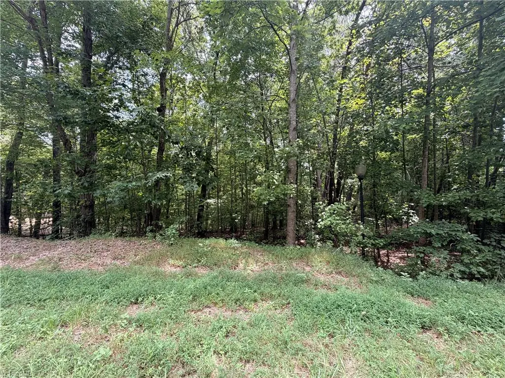169 Glenrobin Drive, Eden, NC 27288 - #1