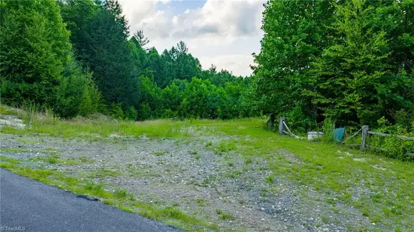 TBD 7 Big Laurel Road, Creston, NC 28615