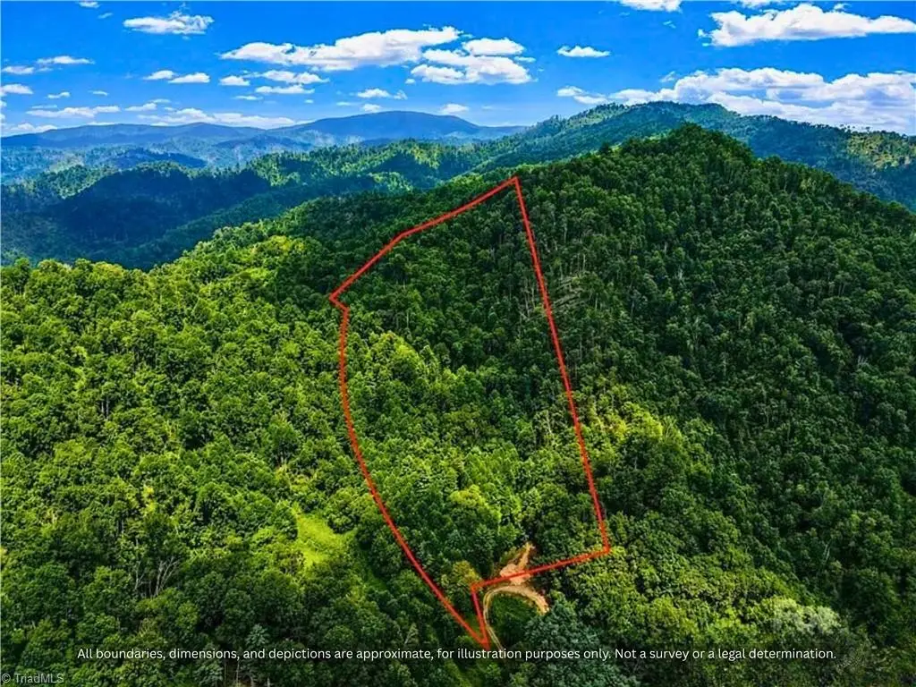 000-000 Bee Branch Road #14AC, Bakersville, NC 28705 - #1