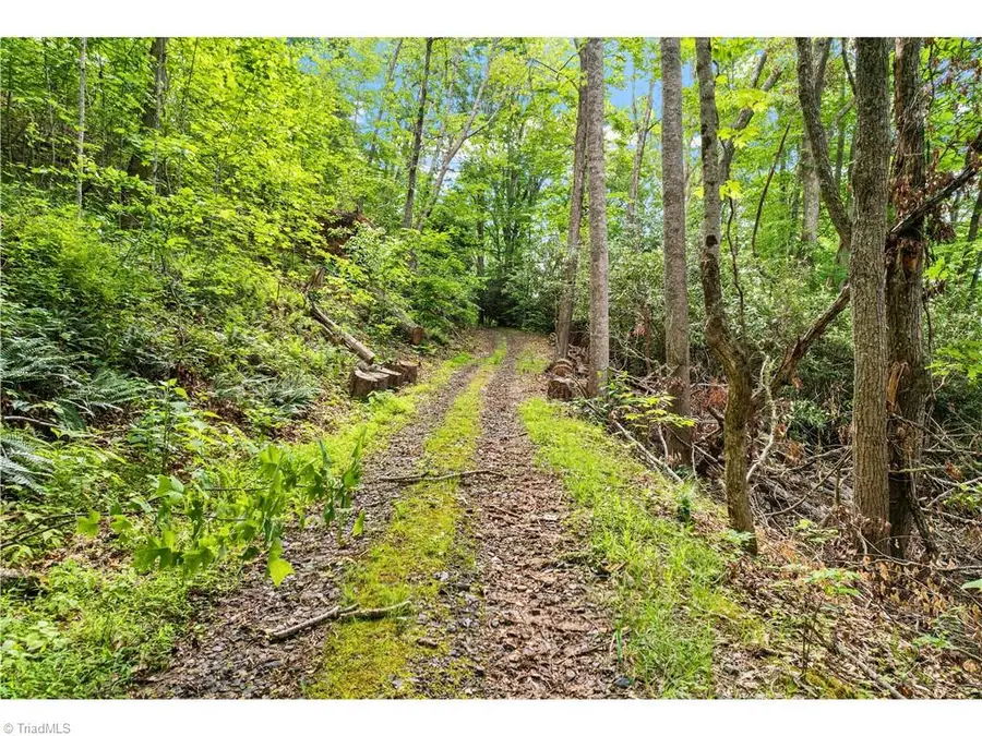000-000 Bee Branch Road #14AC, Bakersville, NC 28705 - #2