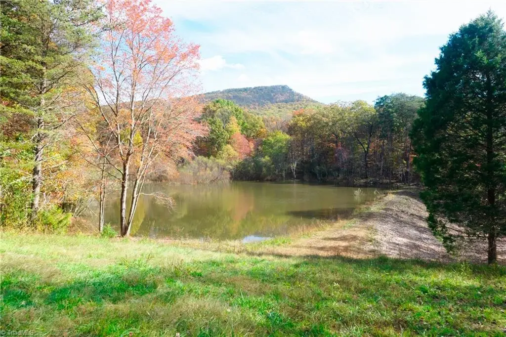 5 Old Mill Road, Pinnacle, NC 27043 - #1