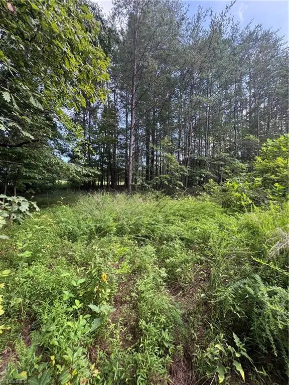 0 Johnson Road, King, NC 27021 - #2