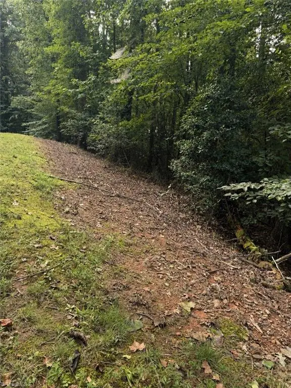 NA Poplar Drive, North Wilkesboro, NC 28659 - #3
