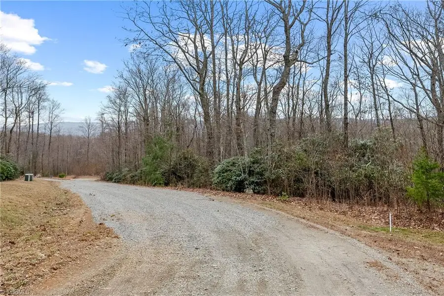 TBD W Pheasant Chase, Ararat, VA 24053 - #2