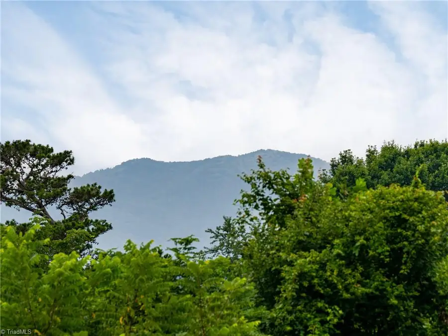 3804 Florham Place, Asheville, NC 28806 - #2