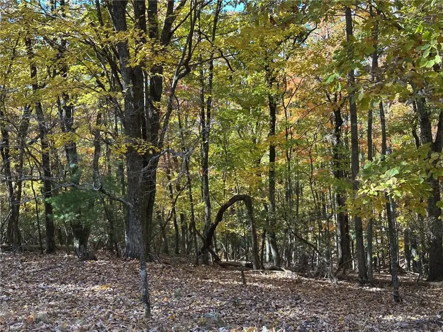 00 Balls Mill Road, North Wilkesboro, NC 28659 - #3