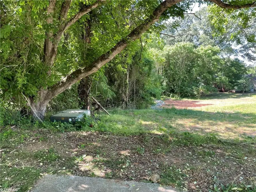 00 Thompson Road, Graham, NC 27253 - #2