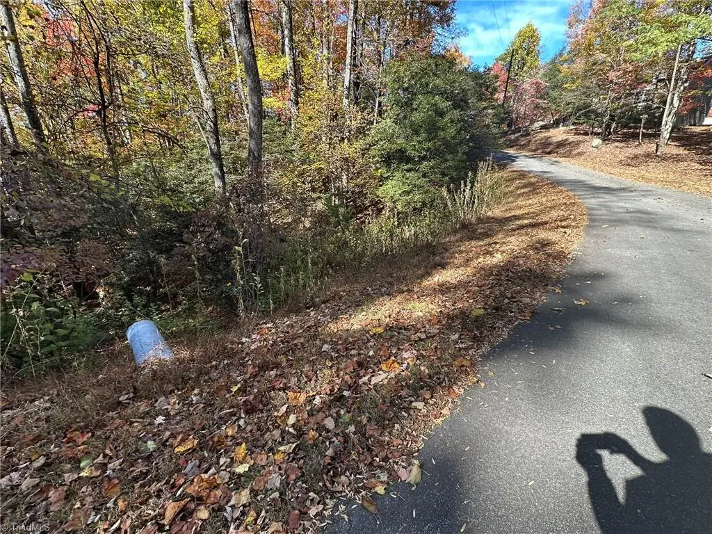 144 View Point Drive, Traphill, NC 28685 - #1