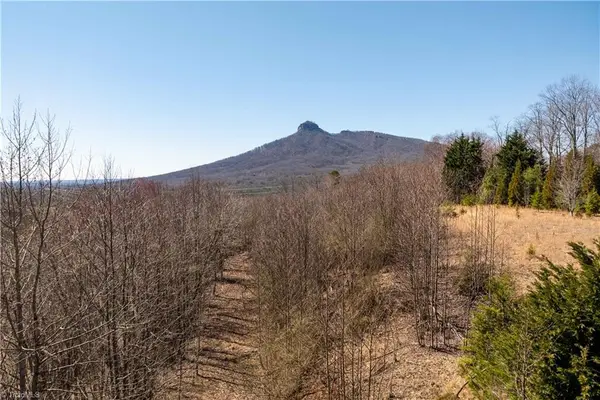 222 Hummingbird Lane, Pilot Mountain, NC 27041