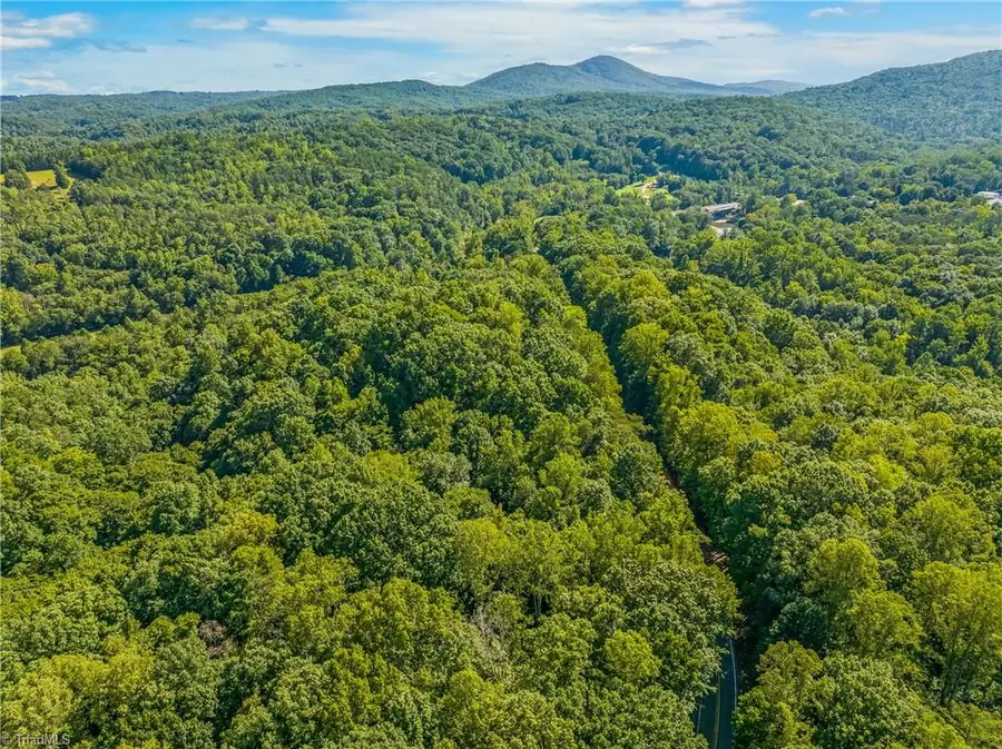 0 Sheppard Mill Road, Danbury, NC 27016 - #2