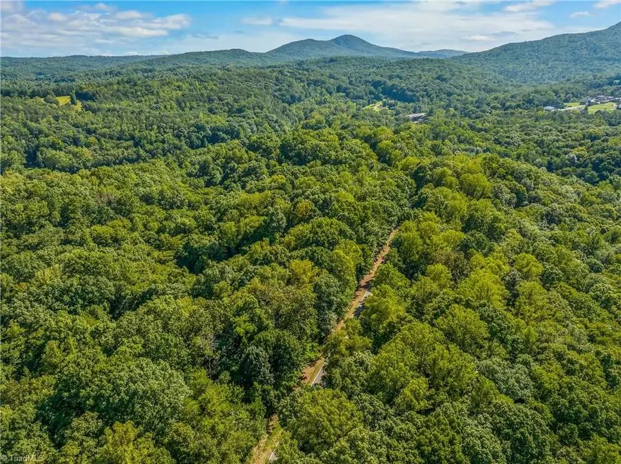 0 Sheppard Mill Road, Danbury, NC 27016 - #3