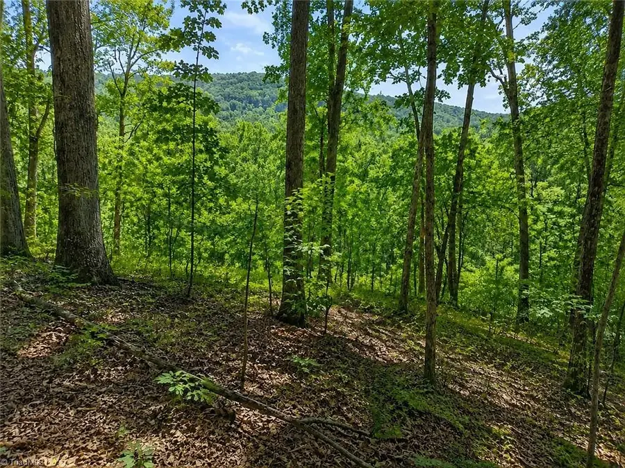 0 Sheppard Mill Road, Danbury, NC 27016 - #2