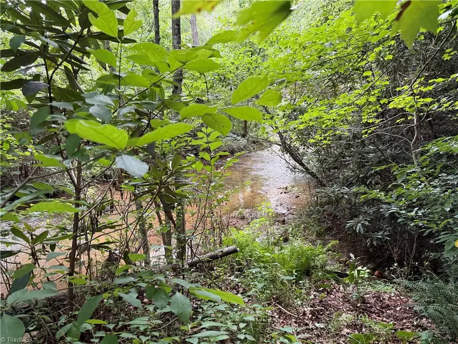 0 Bryant Road, Mount Airy, NC 27030 - #3