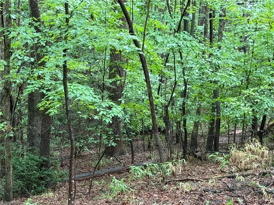 00 Woodland Drive, Elkin, NC 28621 - #2