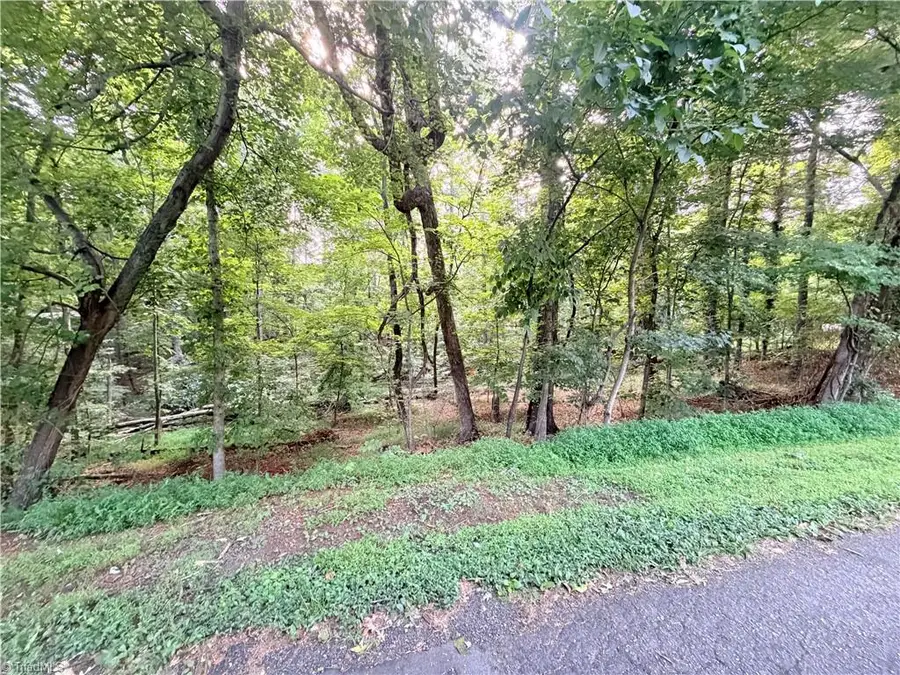 TBD Woodland Drive, Elkin, NC 28621 - #2
