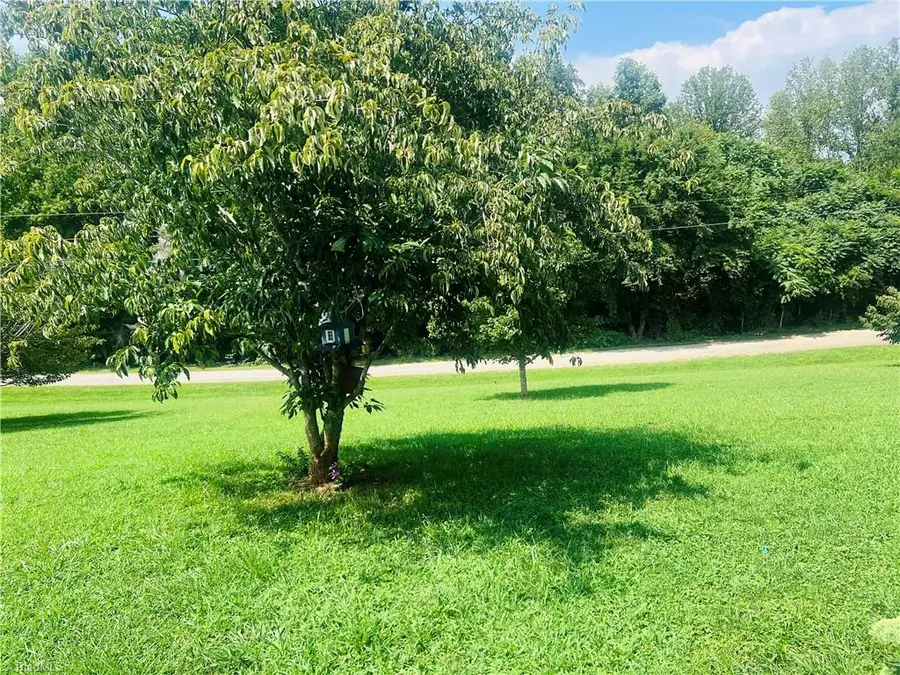 124 Glenhaven Way, Dobson, NC 27017 - #3