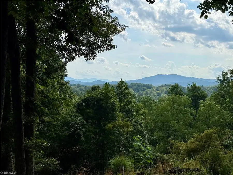 61 Lucky Hill Road, Grassy Creek, NC 28631 - #3
