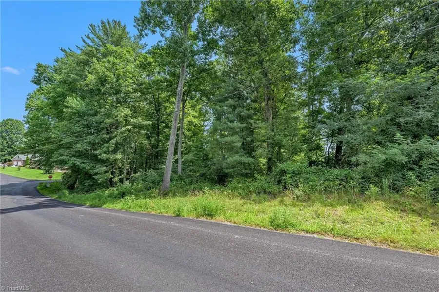 TBD Raven Oak Drive, Wilkesboro, NC 28697 - #2