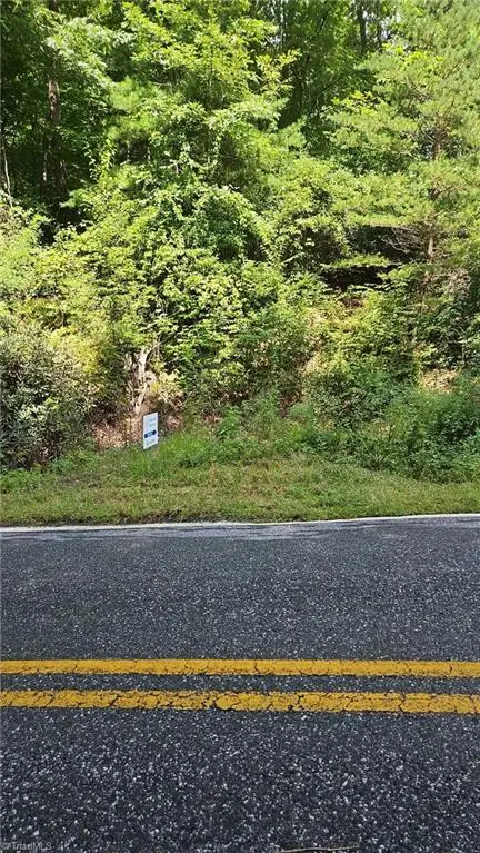 0 Cane Creek Church Road, McGrady, NC 28649 - #2