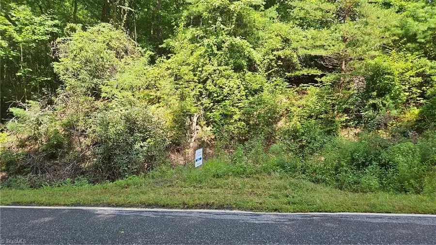 0 Cane Creek Church Road, McGrady, NC 28649 - #3