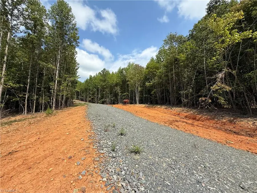 00 Woodfield Drive, Sophia, NC 27350 - #3