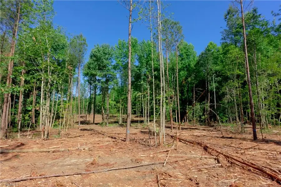 0 Carson Road, Cleveland, NC 27013 - #3