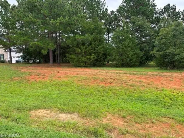 0 Tarmac Drive, Sophia, NC 27350 - #2