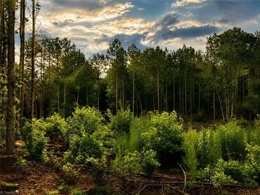 0 Jennings Road, Randleman, NC 27317 - #2