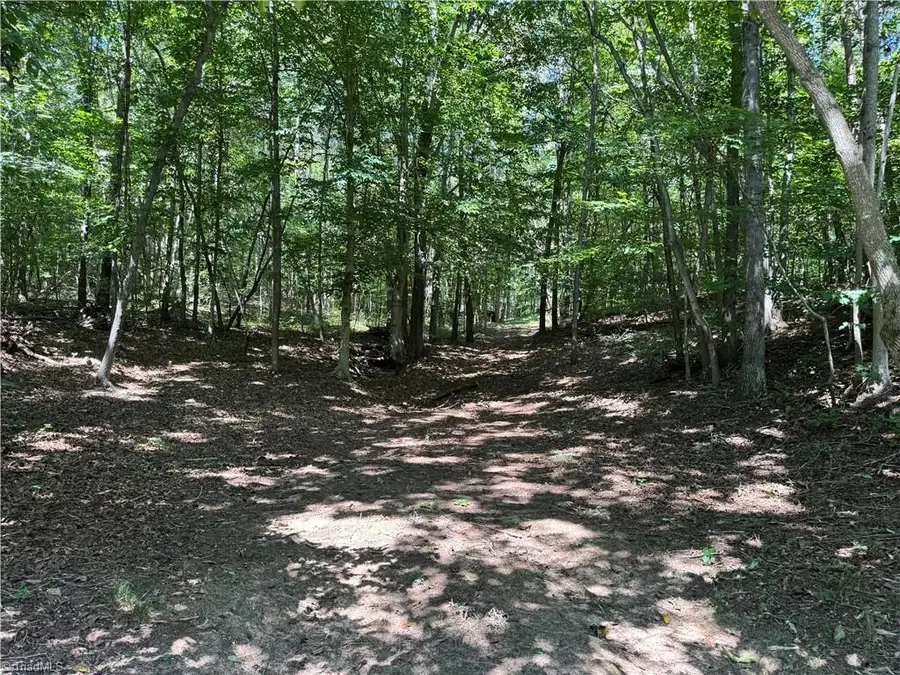 00 Rocky Face Church Road, Taylorsville, NC 28681 - #2