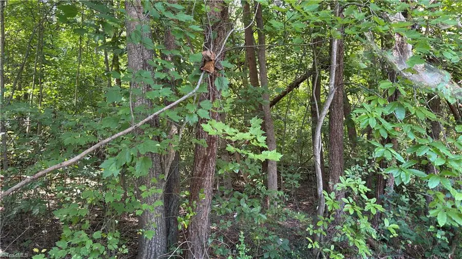 00 Sherry Lane, Yadkinville, NC 27055 - #2