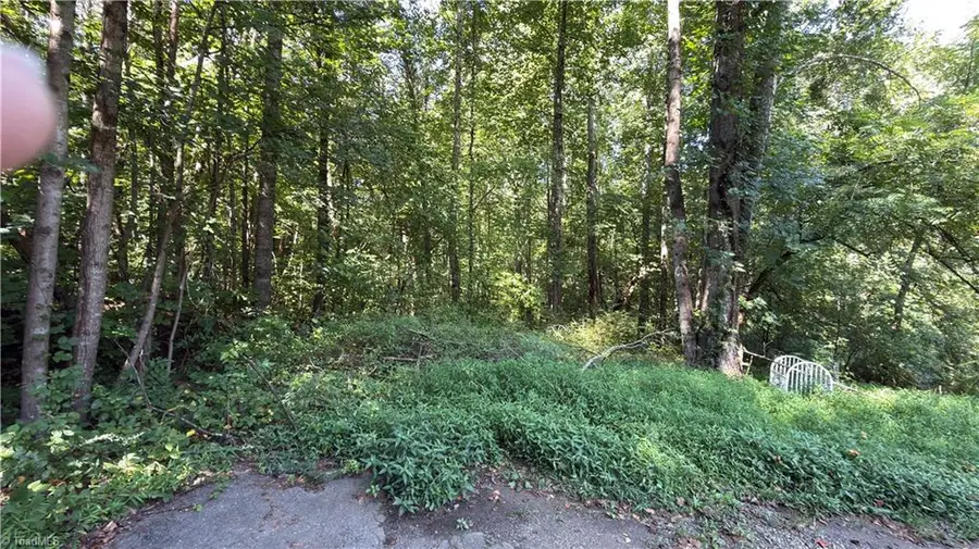 00 Sherry Lane, Yadkinville, NC 27055 - #3