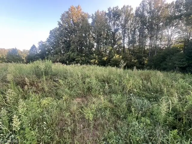 0 Mount Bethel Church Road, East Bend, NC 27018 - #2