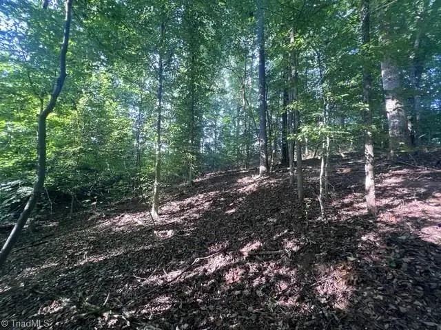0 Mount Bethel Church Road, East Bend, NC 27018 - #2