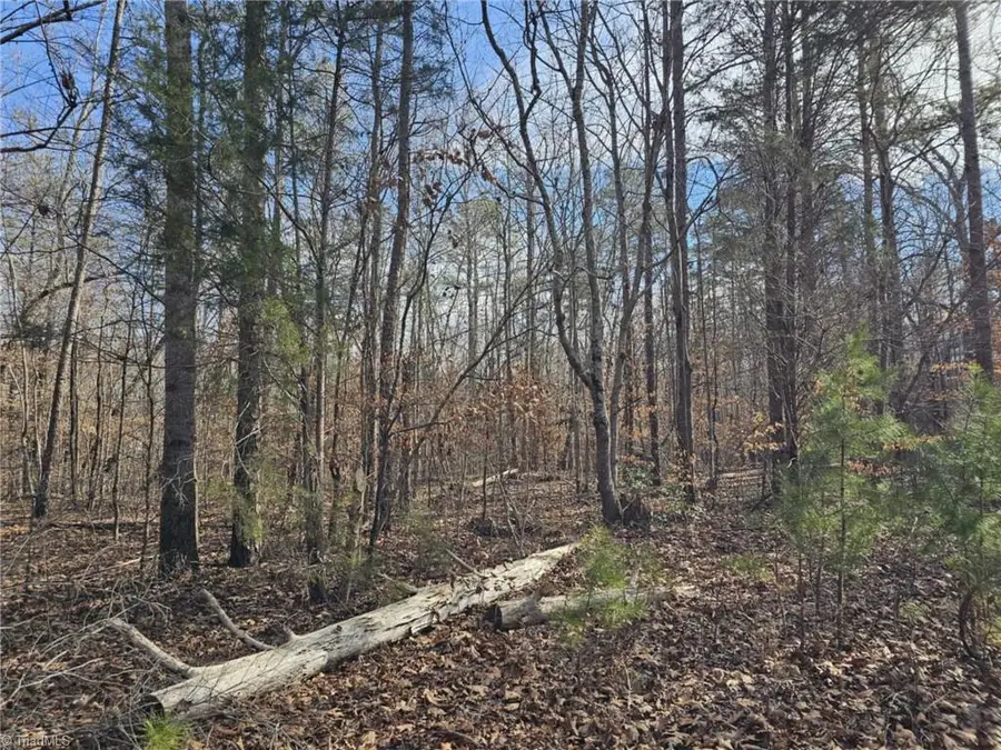 280 Clara Hill Lane, Lexington, NC 27292 - #3