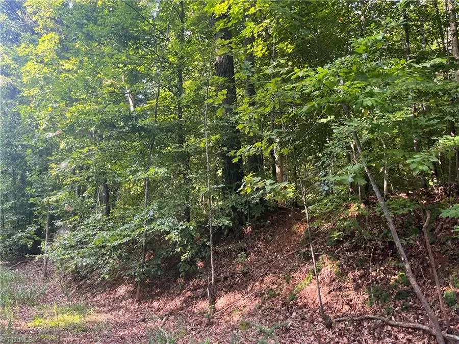 1170 Timber Ridge Road, Westfield, NC 27053 - #3