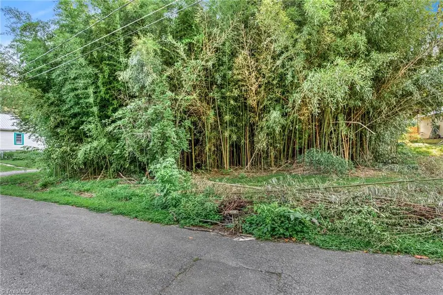 TBD Merrimac Street, Winston Salem, NC 27105 - #2