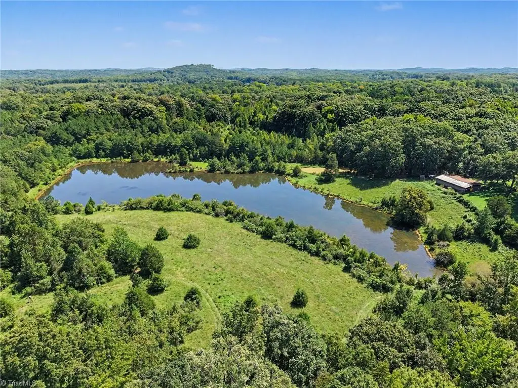 2930 Reginas Way, Randleman, NC 27317 - #1