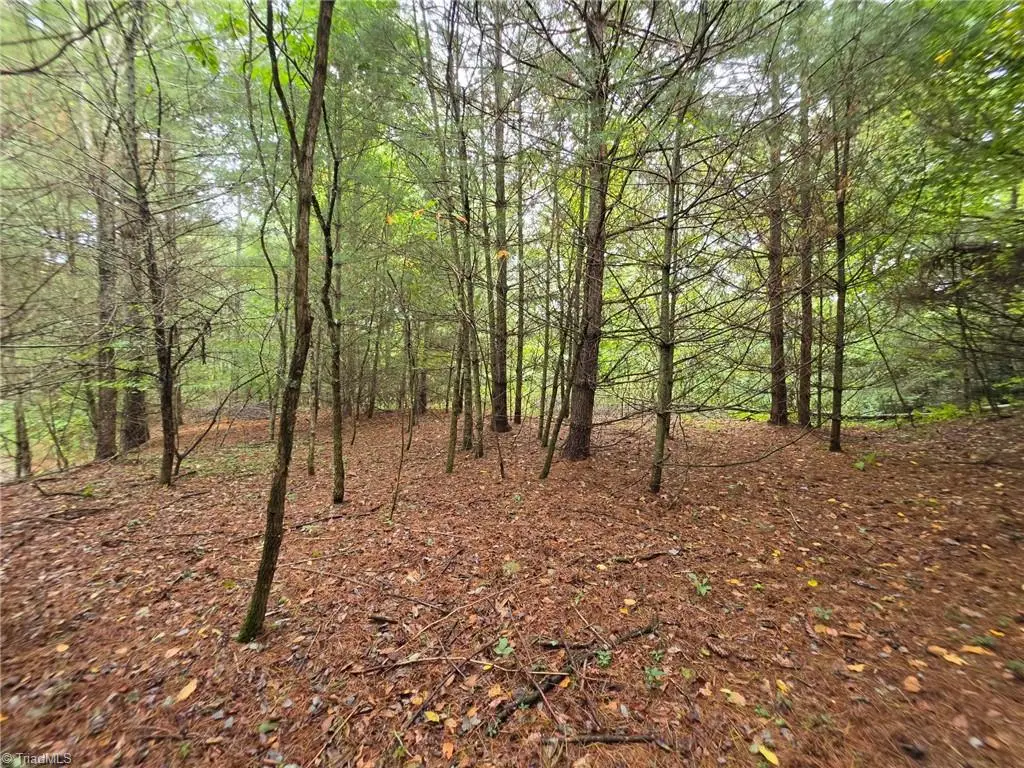 Lot 78 Green Meadows Drive, Todd, NC 28684 - #1