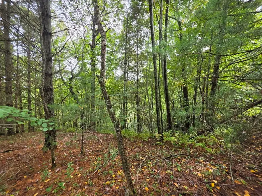 Lot 78 Green Meadows Drive, Todd, NC 28684 - #3