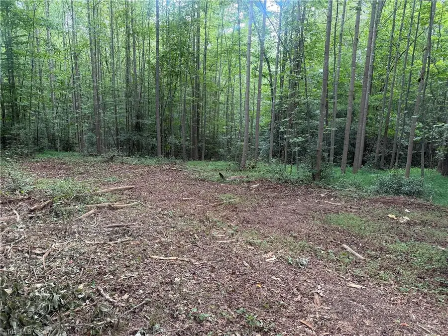 N/A Red White And Blue Road, Roaring River, NC 28669 - #2