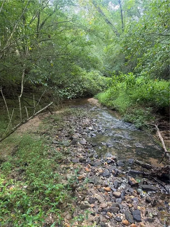 N/A Red White And Blue Road, Roaring River, NC 28669 - #3